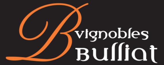 Loic Bulliat logo