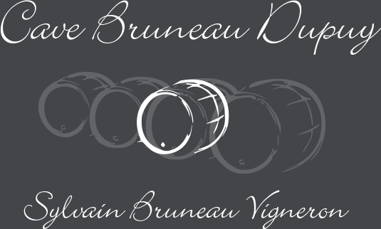Bruneau Dupuy logo